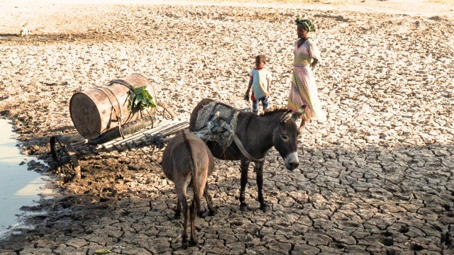 Brits are becoming greener after seeing climate disasters