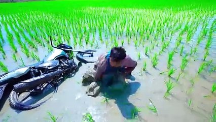 Don`t Miss Exclusively Monkey Funniest Comedy Video  Viral Funny Video 2024 Ep 156 By Fun Tv 24