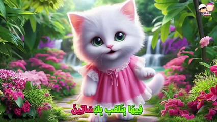 Fi Ha Arabic Song /Kucing arabic remix zamil zamil /Cat FiHa Song/ Kucing Sholawatan _ Alina khan