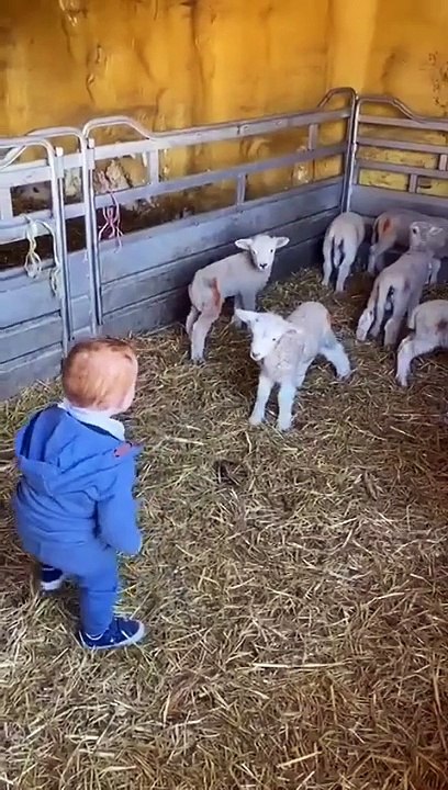 playing babay
