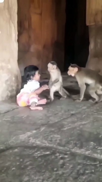 monkey love baby