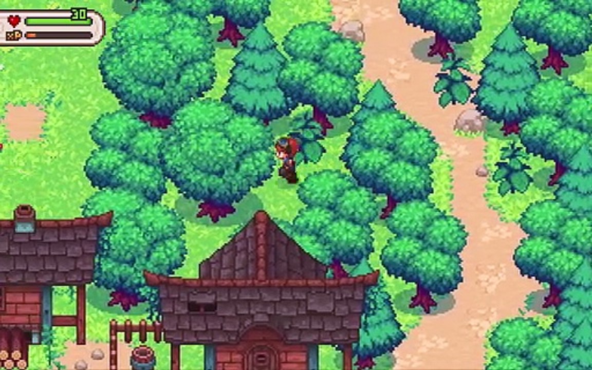 Evoland - Part 8