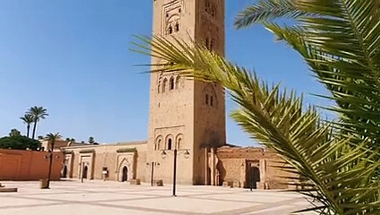 4954871-sd_640_360_30fps