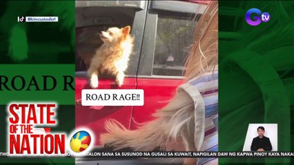 Ala-road rage na tahulan ng mga aso habang nasa traffic, kinaaliwan online | SONA