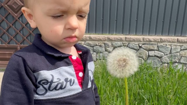 Mischievous mom uses delightful dandelion to prank clueless son