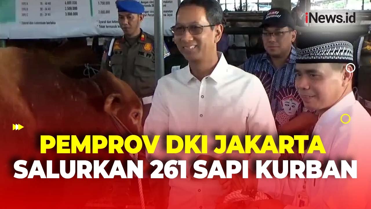 Pemprov DKI Jakarta Salurkan 261 Sapi Kurban Jelang Iduladha