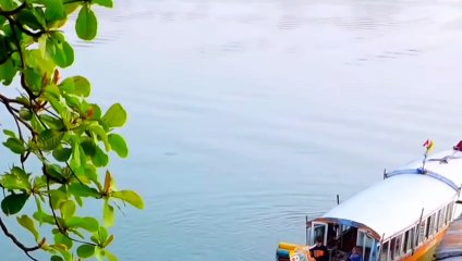 Hờn trách con đò - Sáng tác Phi Bằng