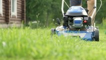 What Should You Do With Grass Clippings After Mowing Your Lawn? An Expert Weighs In