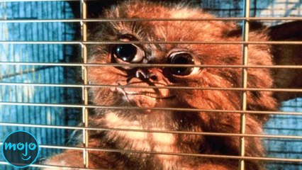 Top 10 Adorable Yet Deadly Characters You Can't Underestimate 😱