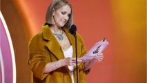 VOICI : Céline Dion : cette étonnante confidence que la chanteuse a faite à Anne-Claire Coudray avant son interview pour TF1