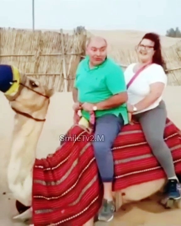 Funny Video 13 | Best Funny video |Comedy video