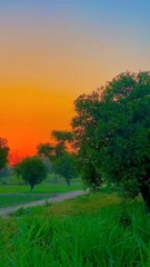 beautiful village view.#foryou #shortvideo