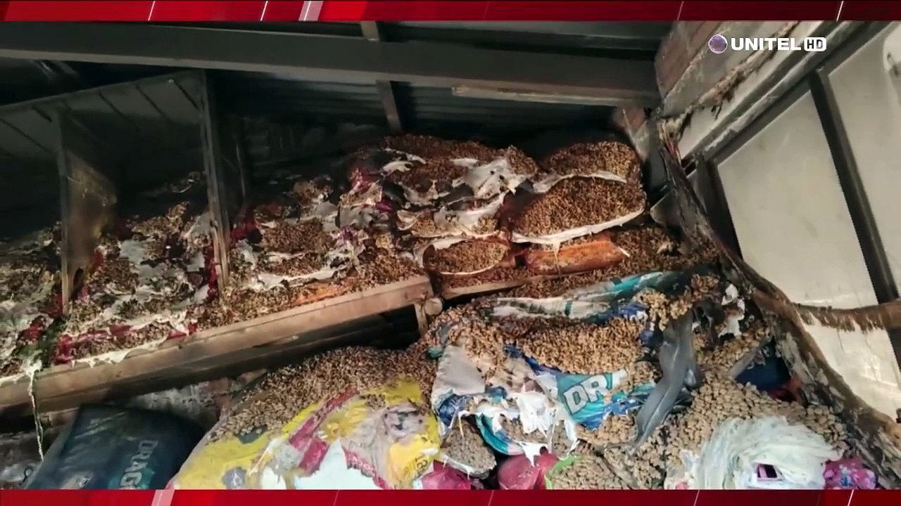 Lo perdieron todo: Incendio en un refugio de animales deja varios canes heridos y alimento balanceado afectado