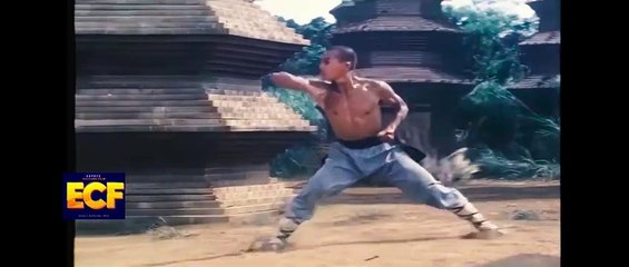 Kung Fu Shaolin - l'Esprit du maître 001