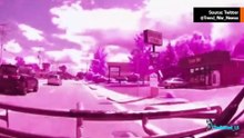 Wideo: Jeleń zderza się z autobusem i rani trzy osoby w Rhode Island