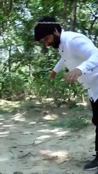 When there were so many cobra snakes together, how did they free them in the forest? #murliwalahausla #