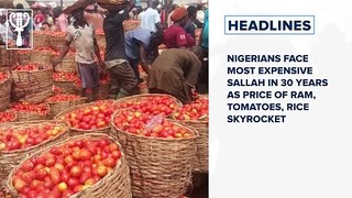 Nigerians face most expensive Sallah in 30 years as price of ram, tomatoes, rice skyrocket