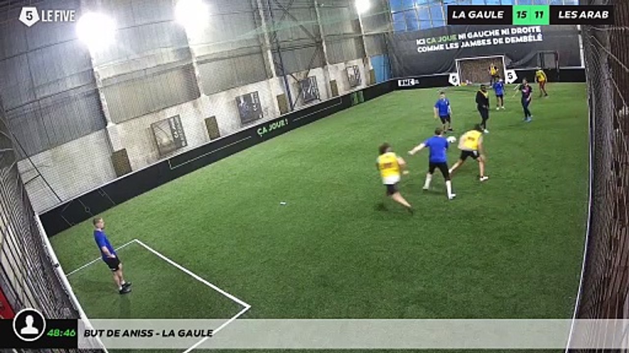 But de Aniss - la gaule