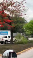 Hombres armados manejan en contra vía y persiguen carro en SPS