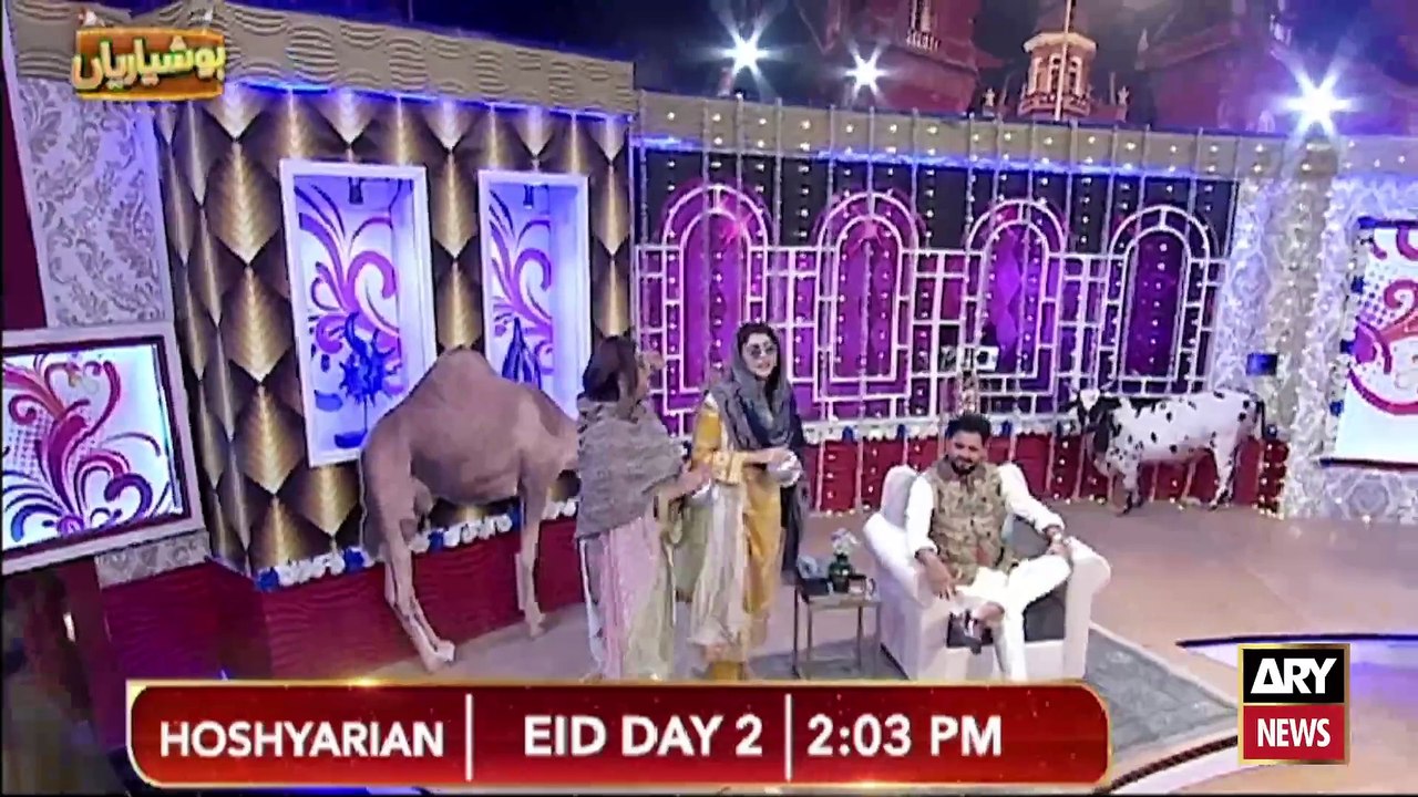 Watch "Hoshyarian" Eid Day 2 at 02:03 PM |  Eid ul Azha Special | PROMO
