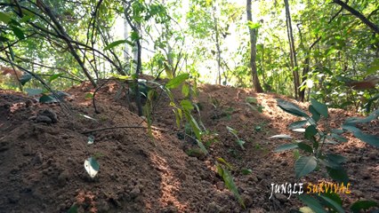 How to Build the Most Secret Underground Tunnel Tomb House