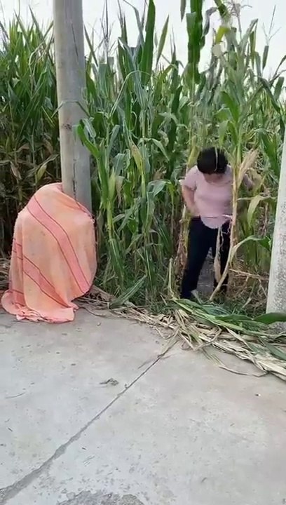 Best Funny New Clip BBK 2021 _ New Comedy Video try not to laugh with BBK _short(720P_HD)