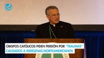 Obispos católicos piden perdón por 