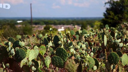 Amour interdit Amour ou Mensonges