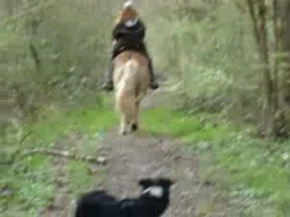 galop ac reggae en ballade