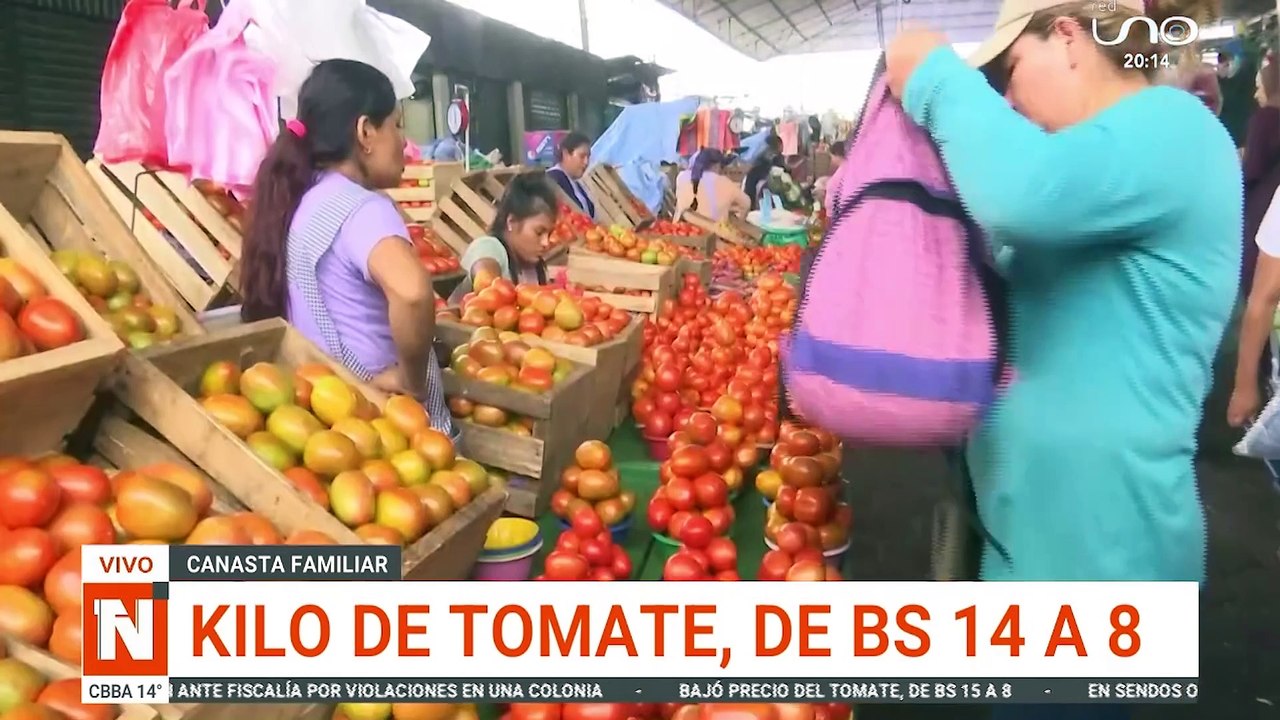 bajo precio del tomate