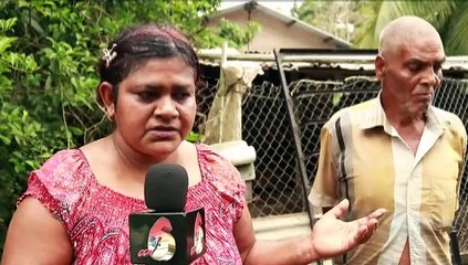 Barrackpore Man Seeks Adoption for Rescued Dogs