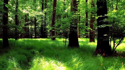 sorah rehman heart touching beautiful voice