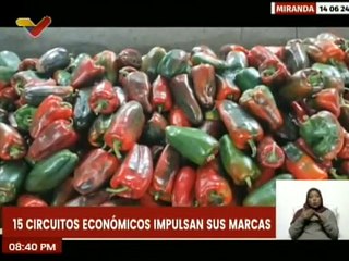 Miranda | Feria del Campus realizada en la Unexca beneficio a más de 5 mil personas