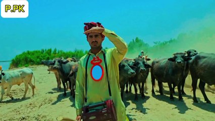 Pakistani PK |PK movie in Pakistani mood |Funny movie