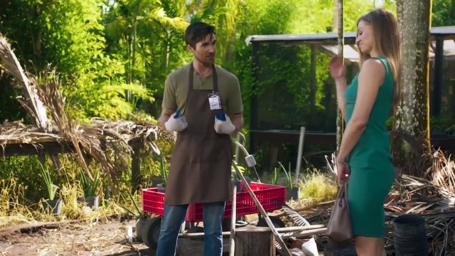 Falling Like Snowflakes Great Hallmark Movies 2024 - New Hallmark Movies 2024