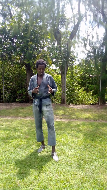 Le karaté militaire d himmoris.  Les balléyages.