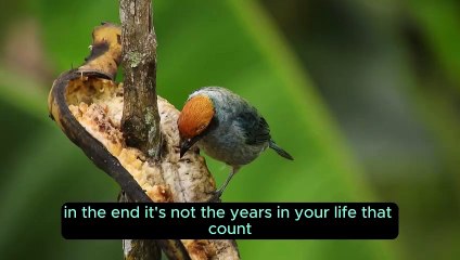 "The Life in Your Years: An Inspirational Journey"