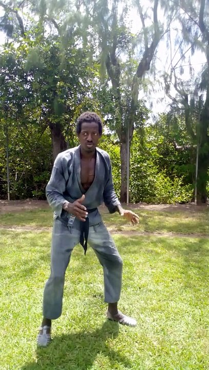 Le karaté militaire d himmoris. Oublie les mouvements théâtrales.