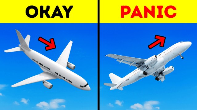 Insider Travel Secrets Exposed | Your Next Trip Will Never Be the Same!