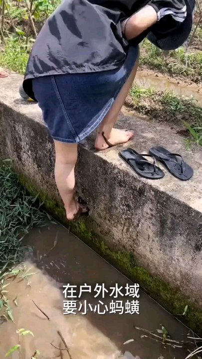 comedy  video