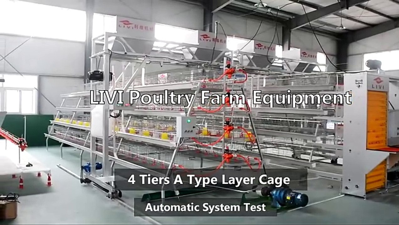 Livi Automatic A Type 4Tiers Layer Chicken Cage System Test