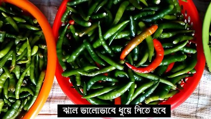 কাঁচা মরিচ সংরক্ষণ পদ্ধতি । Green Chili Preservation