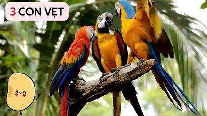 DẠY BÉ ĐẾM SỐ BẰNG TIẾNG VIỆT | HỌC SỐ 3 | BÉ THẦN ĐỒNG | HỌC CÙNG ĐẬU