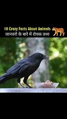 जानवरो के बारे में रोचक तथ्य Animal facts