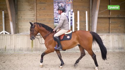 Jérôme Guéry : "Un cavalier n'est rien sans un cheval à côté de lui"