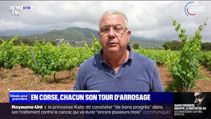 La Haute-Corse est passée en alerte sécheresse, les agriculteurs s'organisent pour irriguer leurs exploitations
