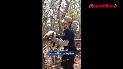 Satwa Diberi AC dan Es Akibat Kubah Panas Meksiko