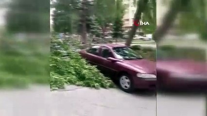 Fırtınada korkutan görüntü: Kağıt gibi uçurup binaya vurdu