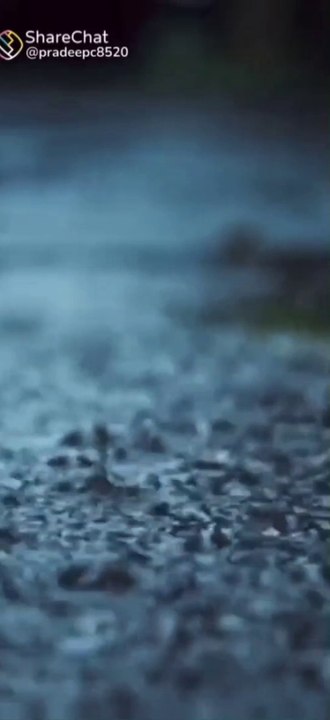 Rainy 