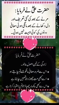 حضرت علیؓ نےفرمایا #fbreelsfypシ゚viralfbreelsfypシ゚vira #viralvideoシ #trendingreels #islamicreels #viralshorts #instagramreels #foryouシ #instareels #quotes #fb #insta #ImranKhan #PTI